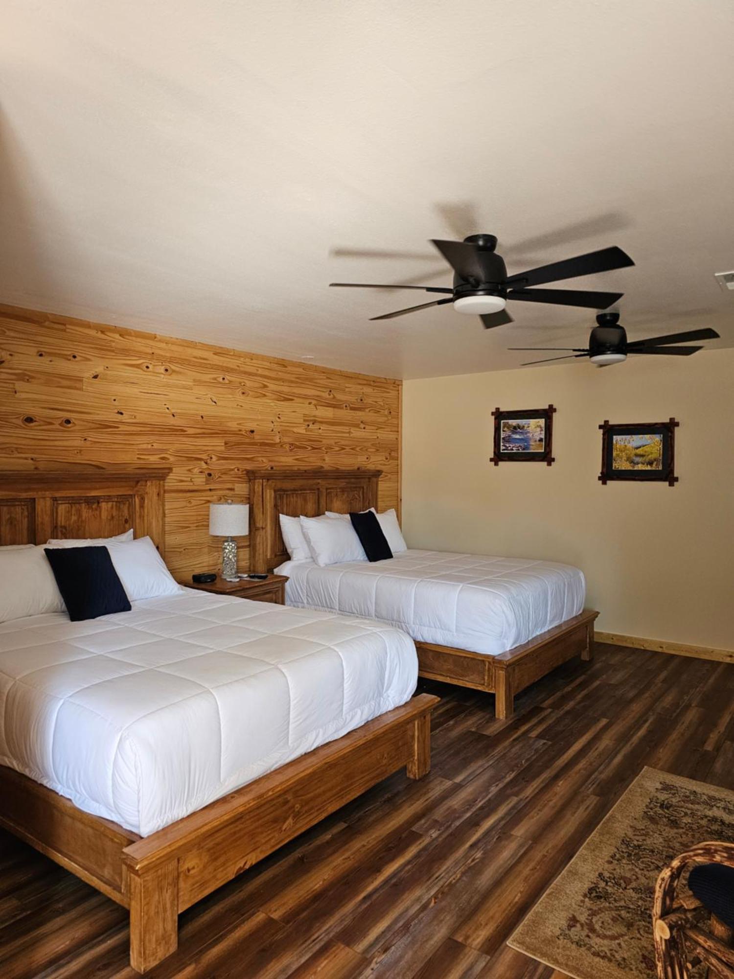 Snowy Peaks Rv Park Hotel Buena Vista Buitenkant foto